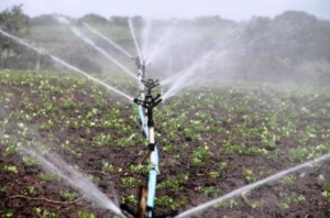 Micro Irrigation Plant