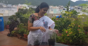 Gardener Madhavi