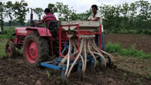 Cultivation of rice