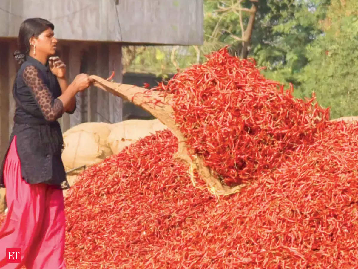 Red Chilli Market Price