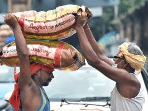 pulses farmers