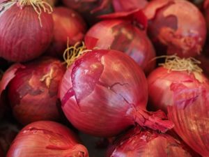 India Small Onions