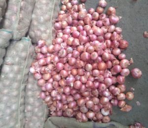 Solapur Mandi Onion