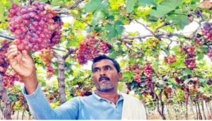 Farmer Chandra Prakash Reddy