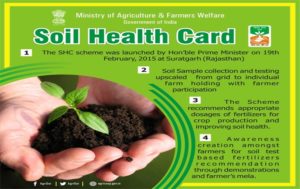 Soil cards