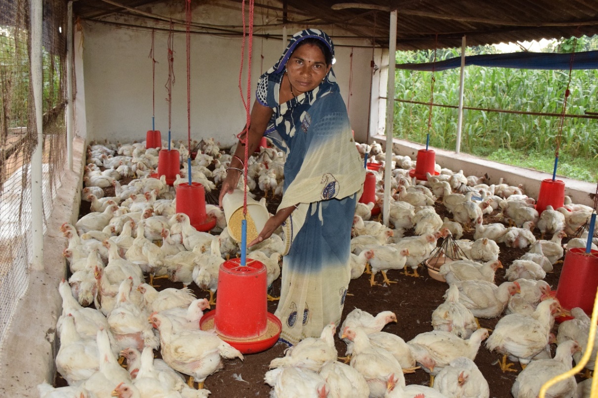 Poultry Farming