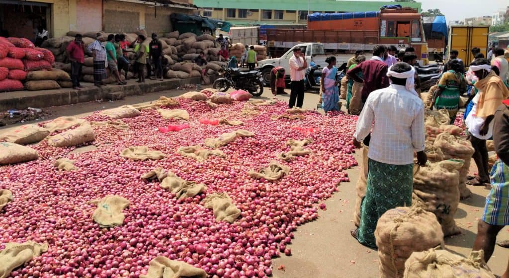 India Small Onions