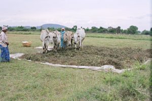 natural farming