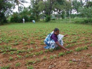 natural farming