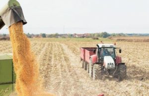 India Agriculture