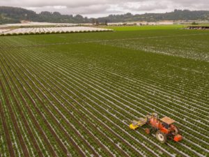 Natural Farming