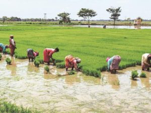 Maharashtra Farmers