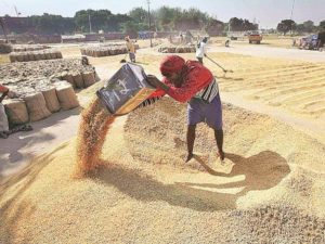 Indian Farmers