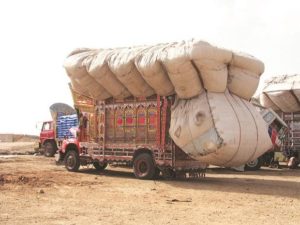 India Agricultural Exports