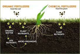 Organic Fertilizers