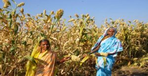 Women Farmers