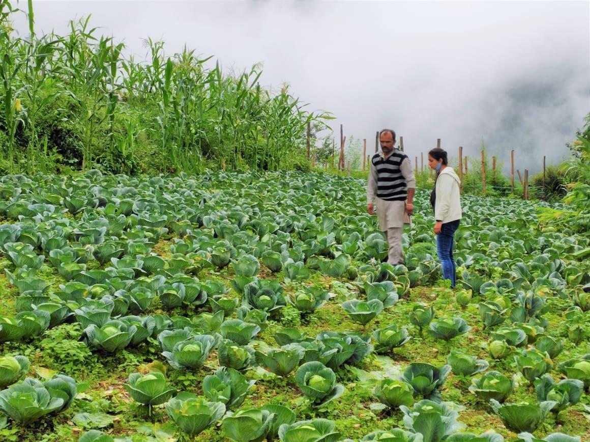 Natural Farming