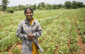 Jharkhand Women Farmers