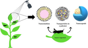 Nanotechnology in Agriculture in India