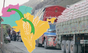 Wheat Transport