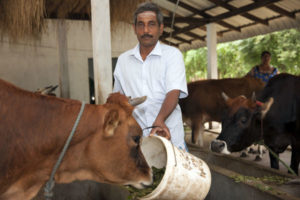 Cattle Farmers