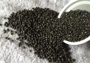 Black Gram Farming