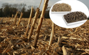 Agricultural Waste Pellets