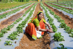 Woman Farmer Success Story