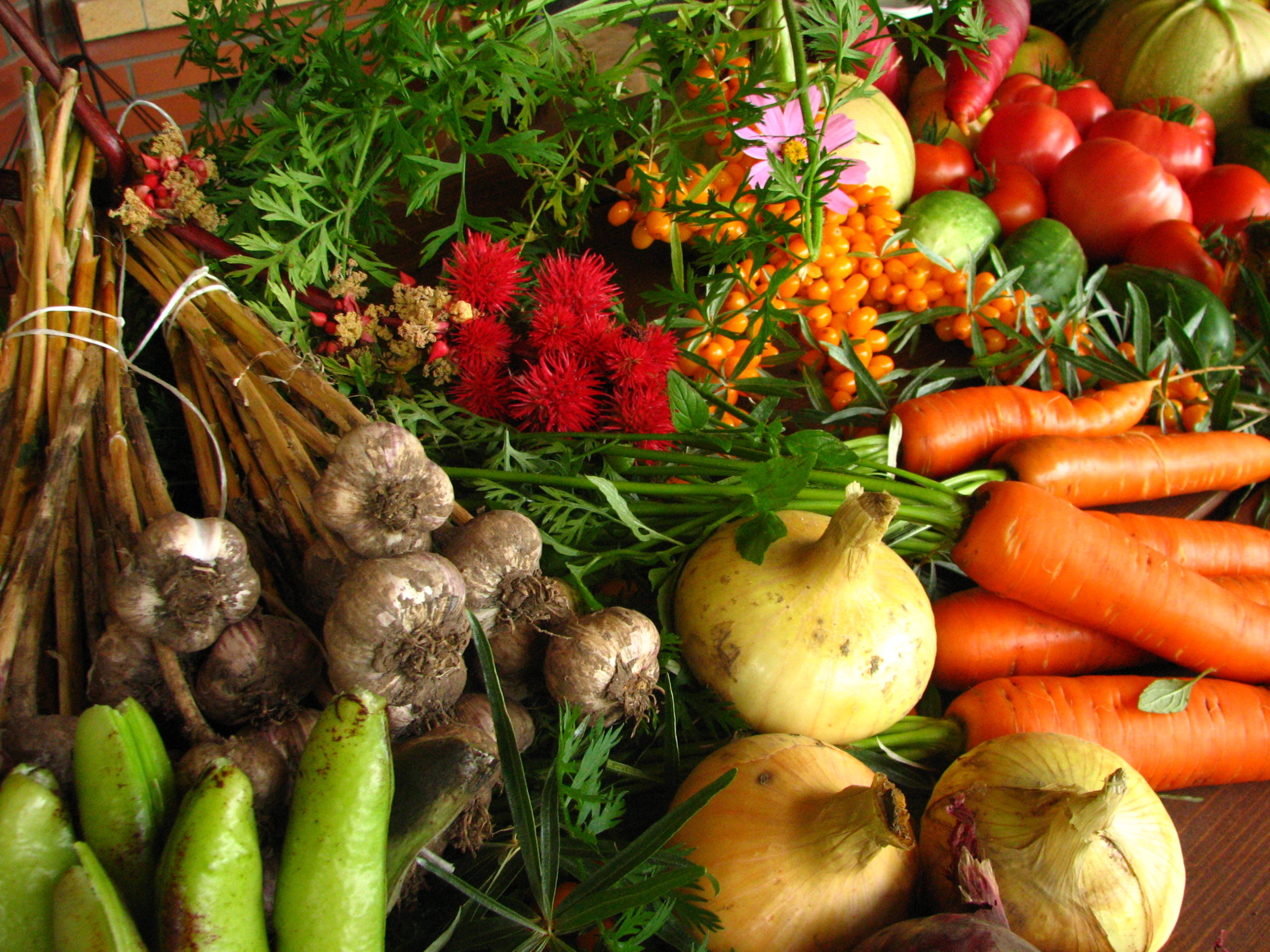 Kitchen Gardening