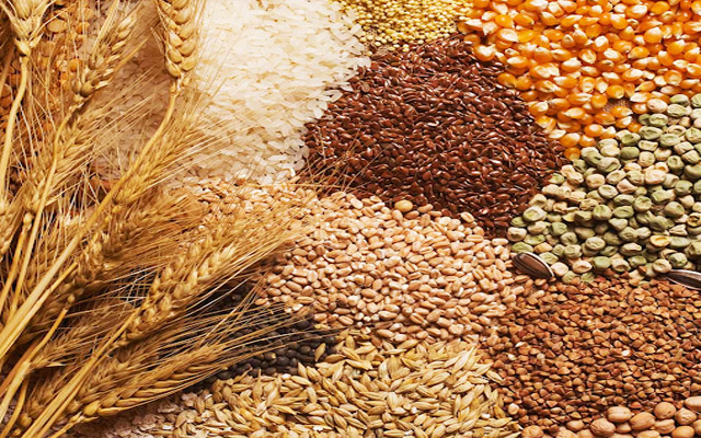 food grains