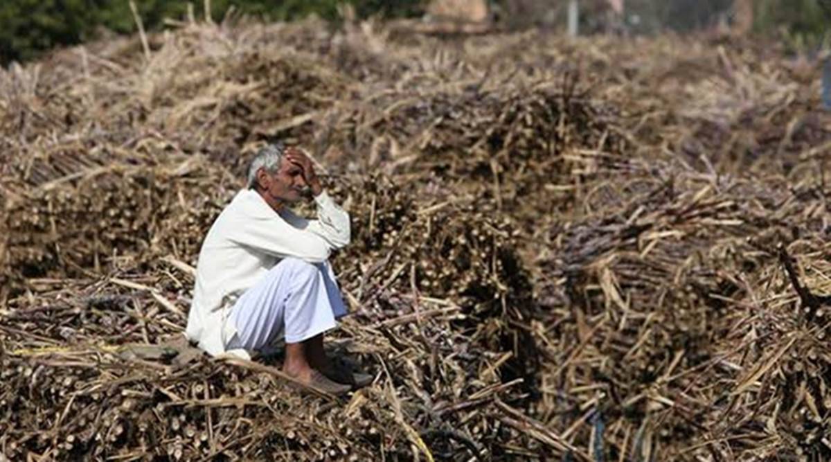 Farmers Suicides