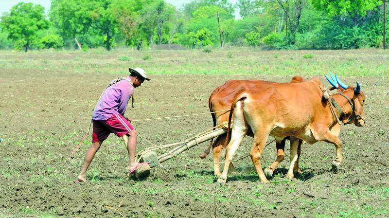 Farming