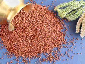 Finger Millets (Ragulu)