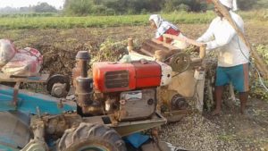 Groundnut Cutting Machine