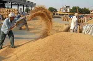 Paddy Procurement