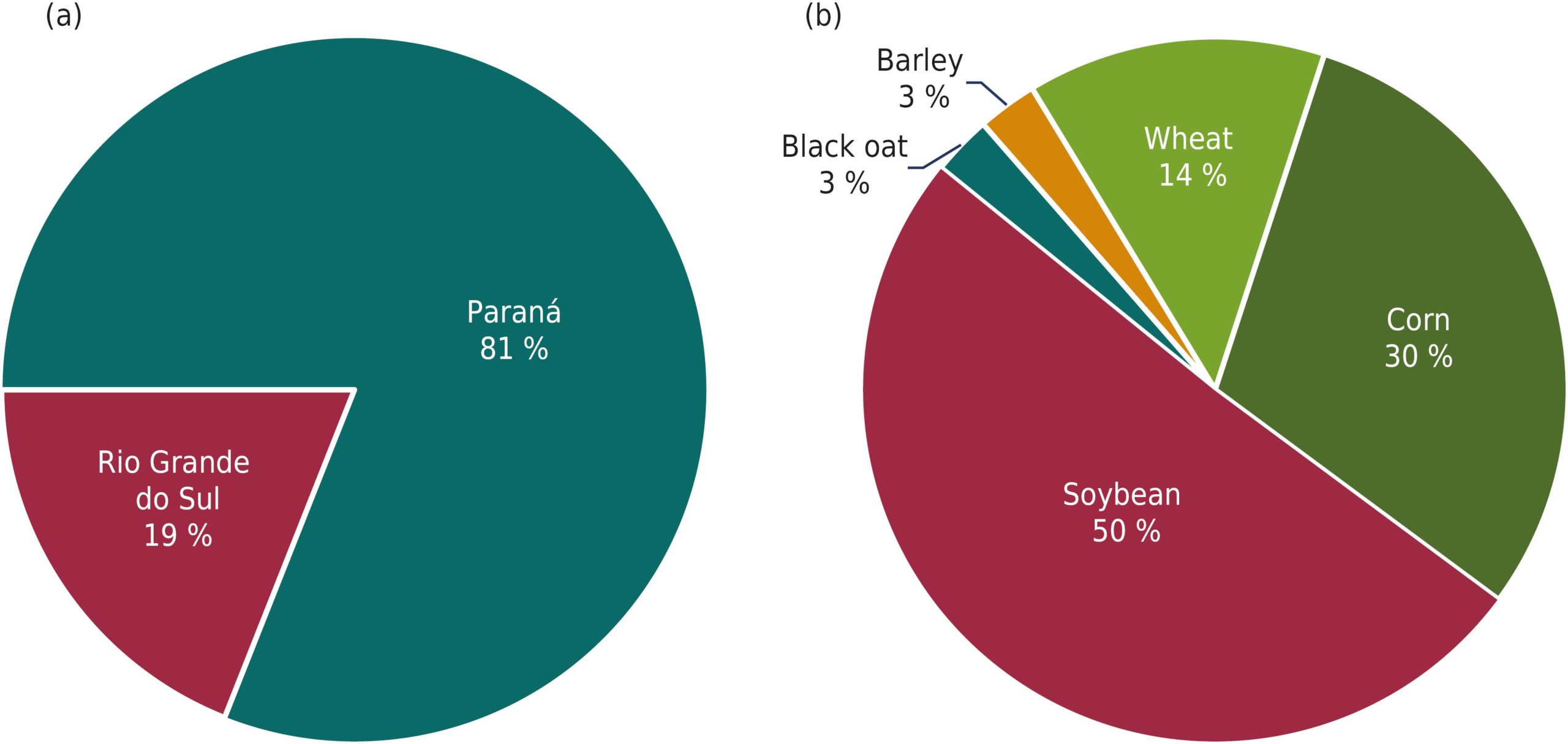 Importance of gypsum bed in problematic irrigation Practices