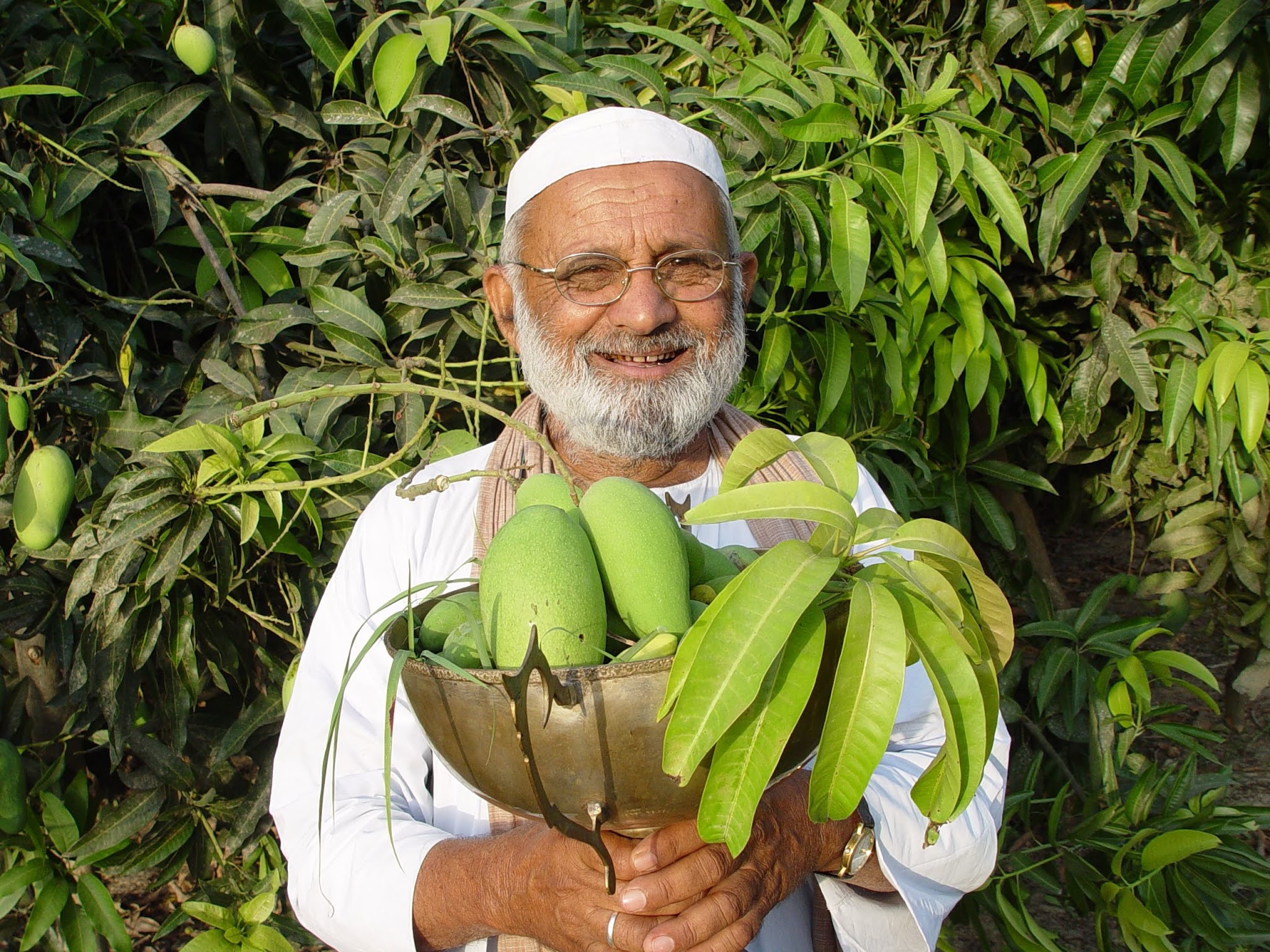 India Mango Man with Mangos