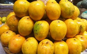 Hapus Mangoes