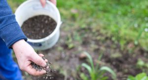 Nutrient Management