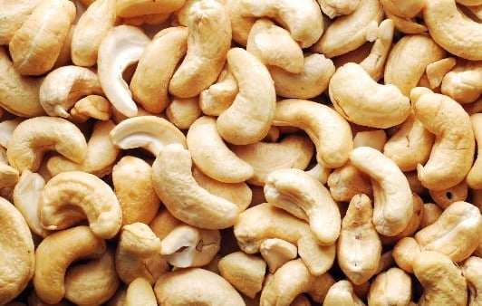 Cashew Farming