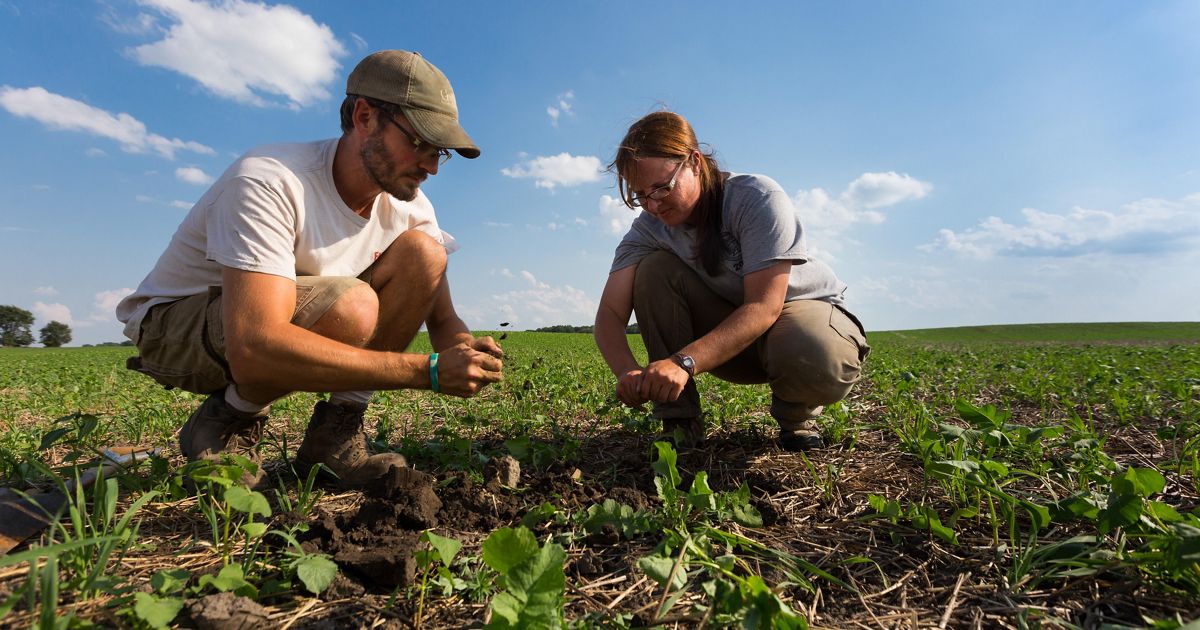 Soil Fertility