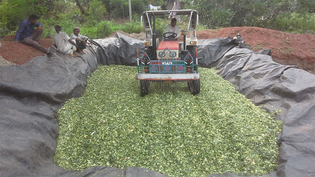 Silage Preparation