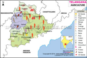 Telangana Agriculture