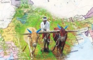 The role of agriculture in the Indian economy