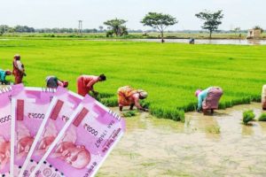 Indian Agriculture