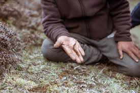 Harvesting of Fungal Mushroom