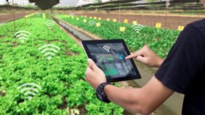 Smart Farming 