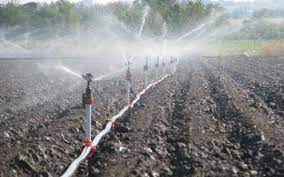 Sprinkler Irrigation