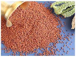 Ragi Health Benefits