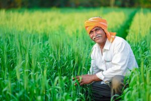 Indian Farmer